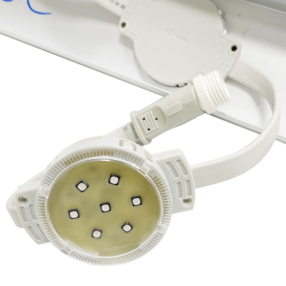 中国·77779193永利(集团)有限公司-官方网站